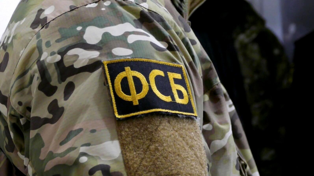 ФСБ: в Луганской области задержали женщину, передававшую Киеву данные о ВС РФ